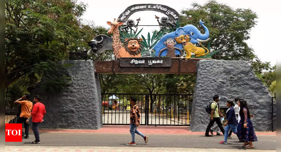 Vandalur zoo’s Angel dies | Chennai News - Times of India