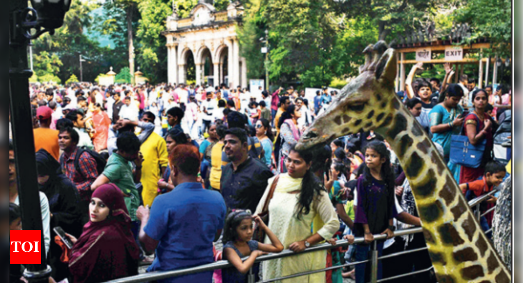 Mumbai Zoo Rani Baug | रानी बाग | Mumbai is biggest park in Byculla | New  Arrival Penguins 2021 Zoo - YouTube