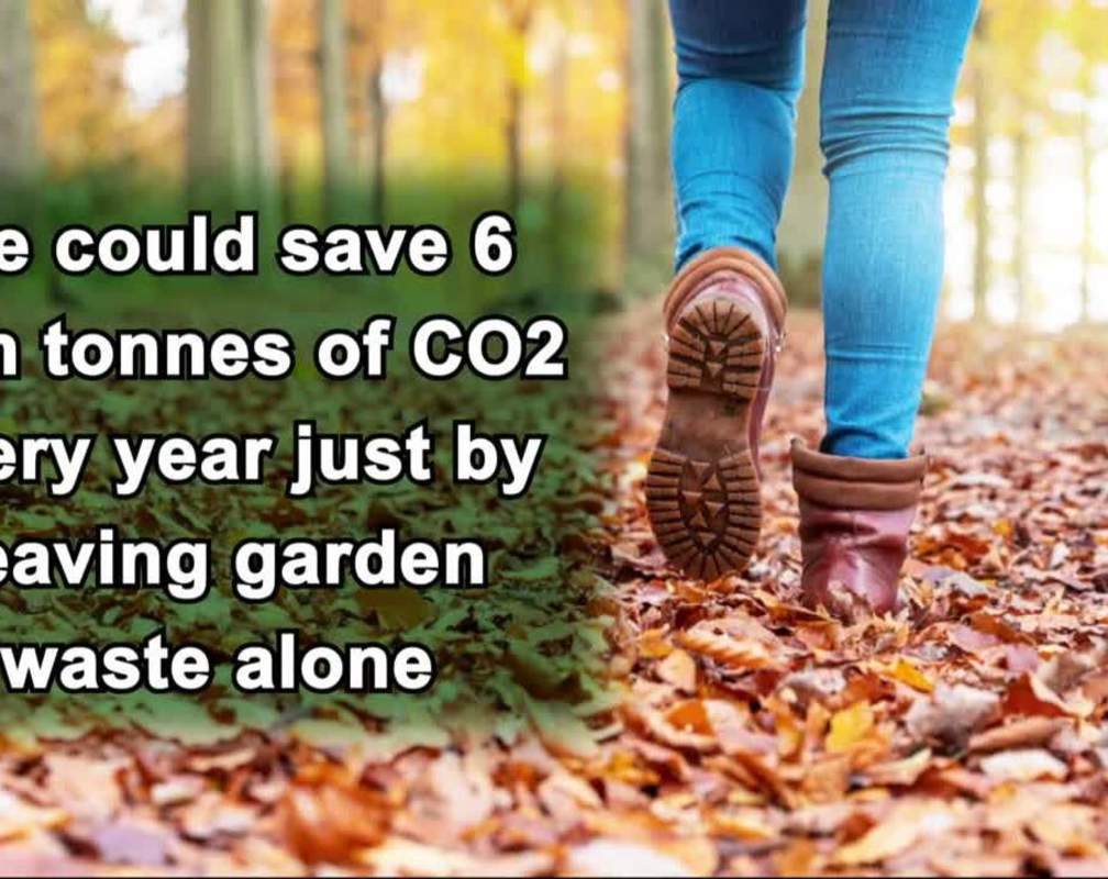 
We could save 6 lakh tonnes of CO2 every year just by leaving garden waste alone
