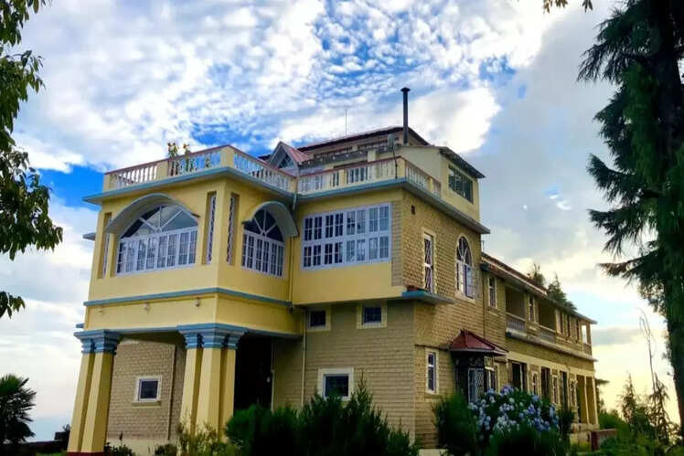 Tree of Life - Grand Oak Manor in Binsar