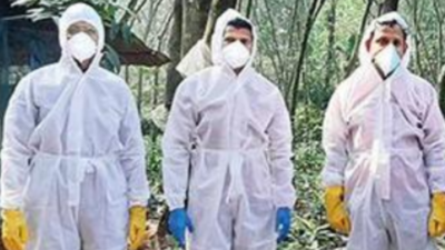 Bird flu: 10,000 ducks culled in Alappuzha