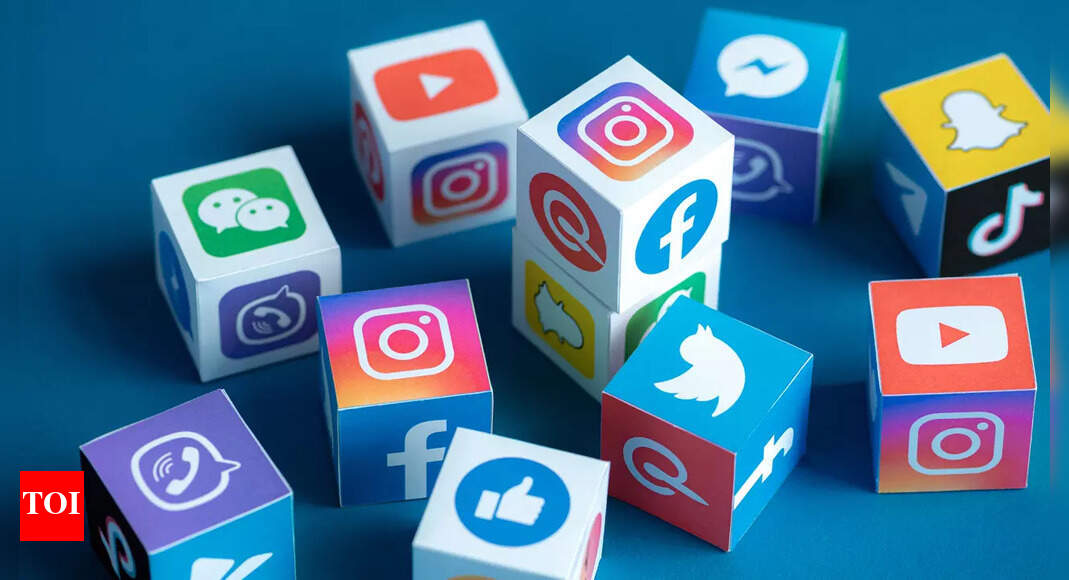 Govt can overrule social media cos on removal of accounts