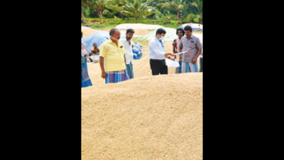 Tamil Nadu: Paddy moisture limit raised to 19%, but farmers upset