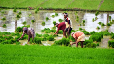 Tamil Nadu: Farmers boycott grievance meet citing lack of response