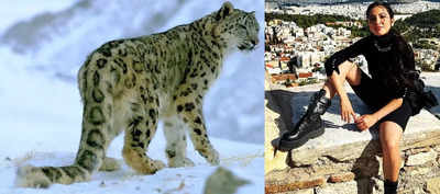 Shruti Haasan shines a light on snow leopards