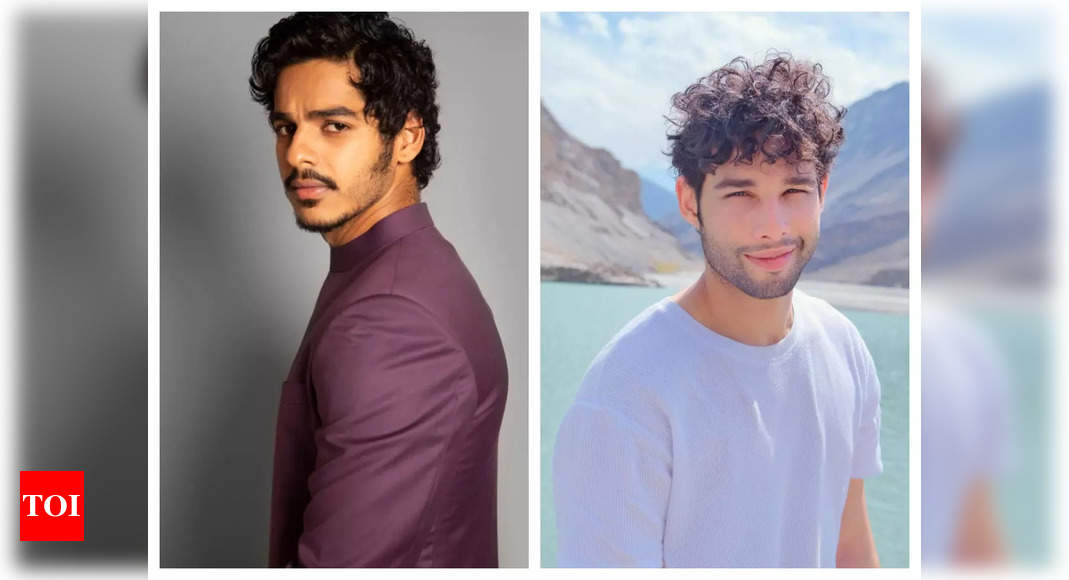 'Bigg Boss 16': Ishaan Khatter dances on 'Zingaat', Siddhant Chaturvedi ...