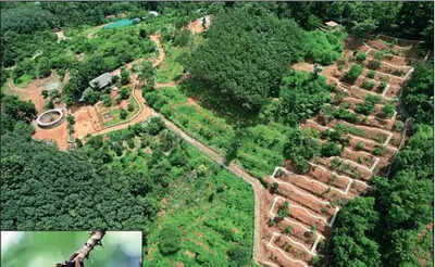 In Kerala, a garden springs from a book