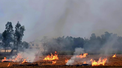 Delhi: It’s almost severe, farm fire share rises steadily