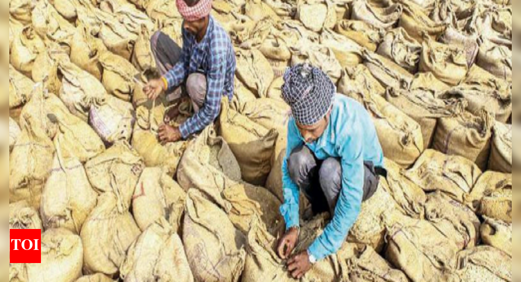 punjab-7-lakh-mt-paddy-arrivals-a-day-pb-procures-105-lakh-mt