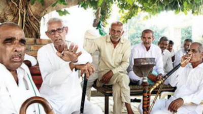 Democracy takes root under Adampur banyans