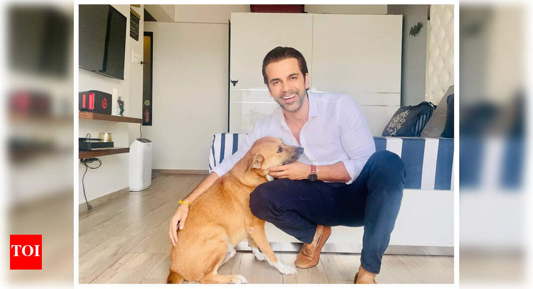 Anuj Sachdeva declines a TV show for his furry friend - Times of India