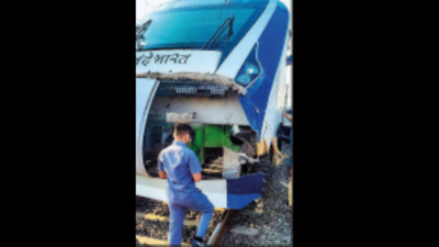 Gujarat: Vande Bharat train hits bull in Valsad