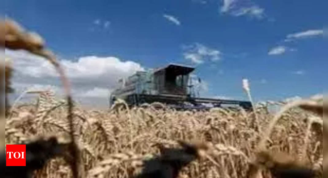 Russia Ukraine Grain Exports Halted After Russia Suspends Deal