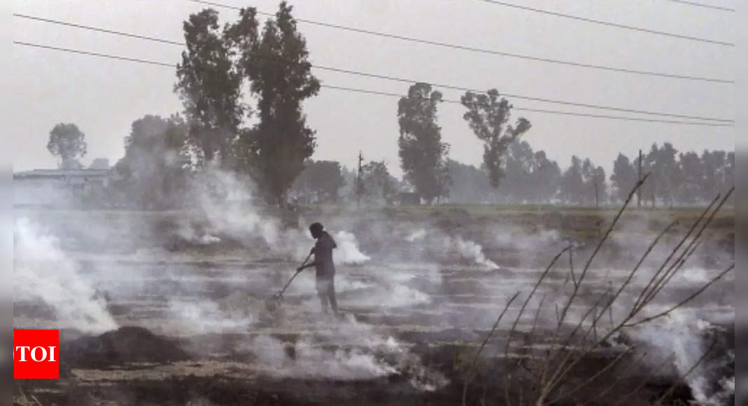 Stubble Burning Share In Delhis Pollution Rises To 26 Per Cent Delhi News Times Of India 8982