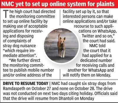 Did NMC mislead HC about setting up dog control cell? | Nagpur News - Times  of India