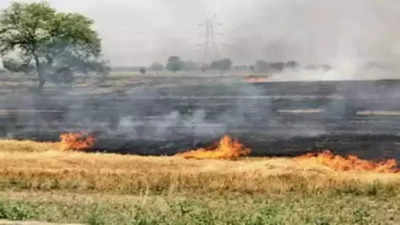 Delayed peak? 33% dip in farm fires from September-October in Haryana