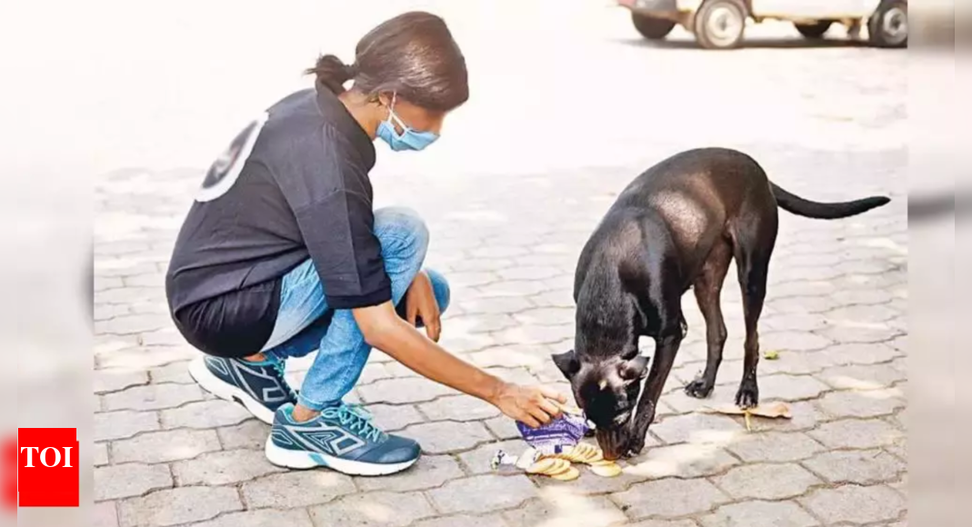 Animal feeders hold peaceful demo in Mumbai Mumbai News Times of India