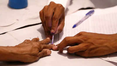 Over 70% votes cast in Haryana zila parishad, panchayat samiti polls