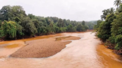 Goa: Curti-Khandepar panchayat to oppose Murdi bandhara