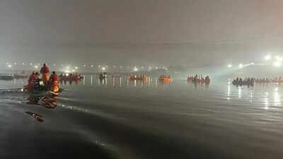 Gujarat tragedy: What is a suspension bridge? What led to its collapse?
