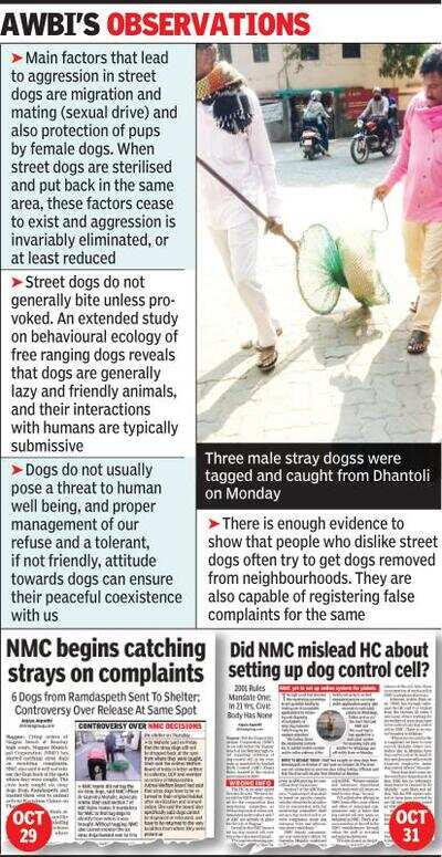 Realizing mistake, NMC decides to tag, drop stray dogs back where they were picked up