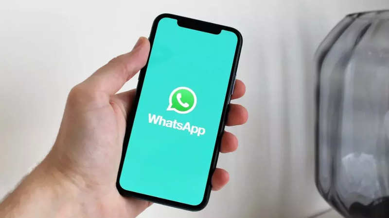 You can download PAN card, driving license and other important documents through WhatsApp| Roadsleeper.com