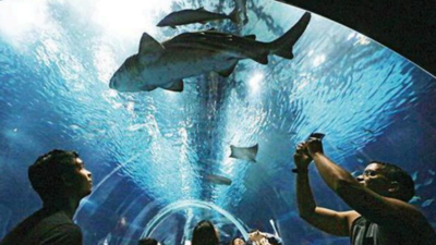 Mumbai: BMC to plan out aquarium work on Worli dairy land