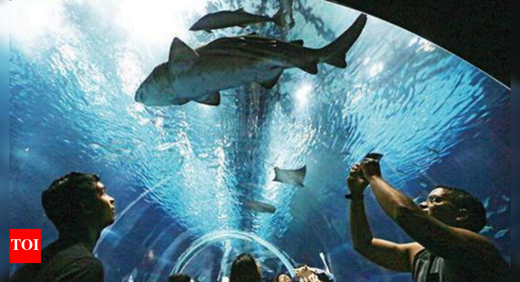 Mumbai BMC to plan out aquarium work on Worli dairy land Mumbai News