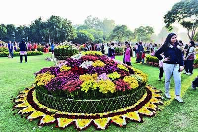 PAU to host chrysanthemum show after 3 yrs