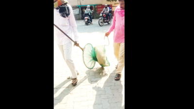 Realizing mistake, Nagpur Municipal Corporation decides to tag, drop stray dogs back where they were picked up