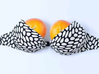 Is Wearing A Bra Bad For Your Health? Myths & Facts
