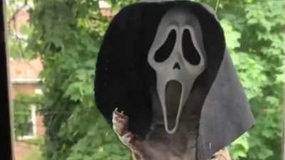 ‘Funniest Halloween video’: Squirrel wearing a mask is cracking up Twitter