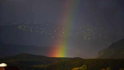 Climate change to produce more rainbows: Study