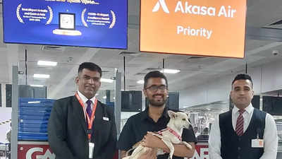 Pets start flying on Akasa: Day 1 sees 4 dog passengers; petfares start from Rs 4,000