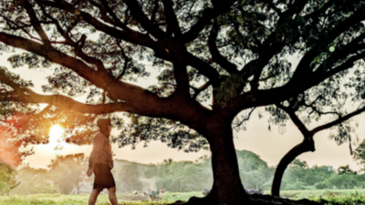 Expect warmer nights this November in most of India