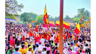 Belagavi sees record Rajyotsava turnout; yellow & red rule streets