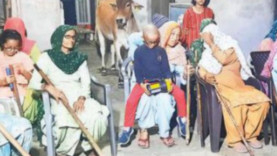 Jind village bans liquor use in panchayat polls