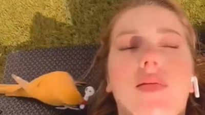 Watch: Bird steals woman's earbud, refuses to return and flies away