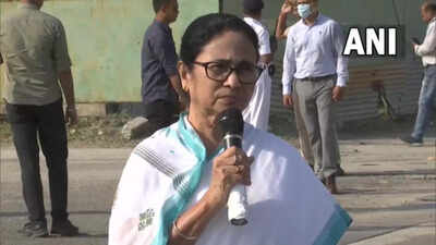 When two politicians meet, some politics usually discussed: Mamata on her meeting with Stalin