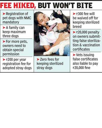 Now pay Rs500 to register your pet canine with NMC