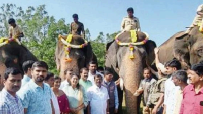 Karnataka: Forest department launches operation to rescue wild tusker Mudigere Bhyra