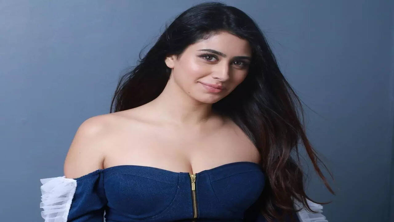 Did Warina Hussain confirm 'GodFather 2'? Sparks indirect hint at the  success bash | Telugu Movie News - Times of India