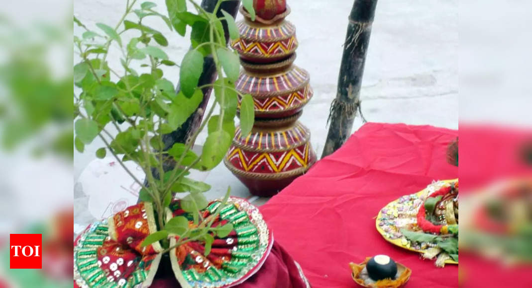Gold Plated Tulsi Plant For Pooja Decoration - Silver Palace