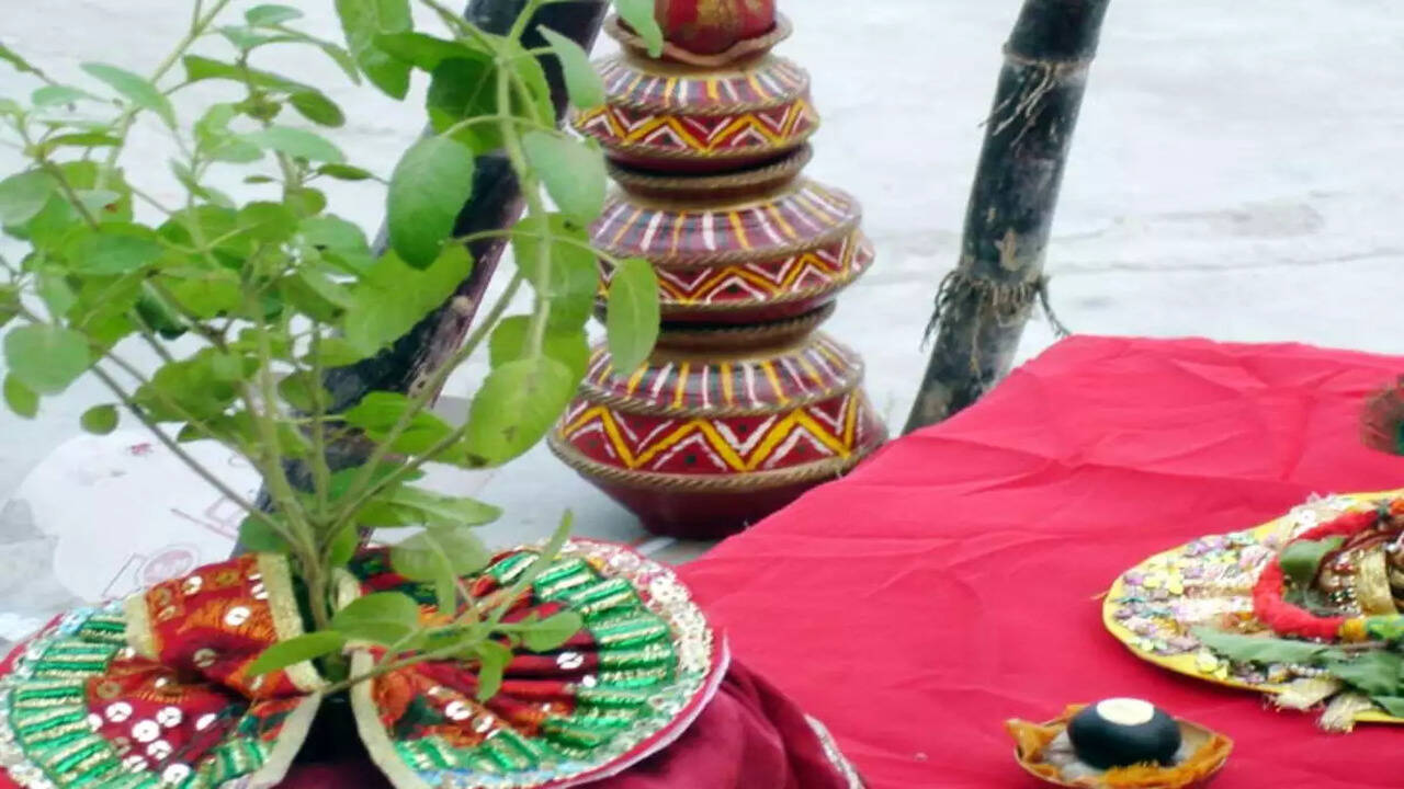 RST) Ramesh Suma Tharun ☺: TULASI FESTIVAL - TULASI POOJA - TULASI VIVAH