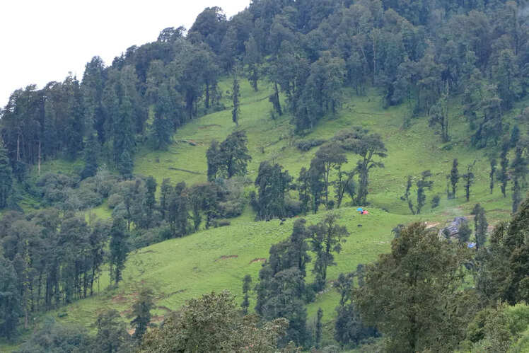 Dayara Bugyal Trek in Uttarakhand
