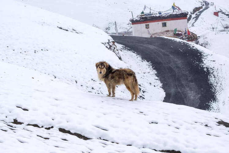 Spiti Village Treks in Himachal Pradesh