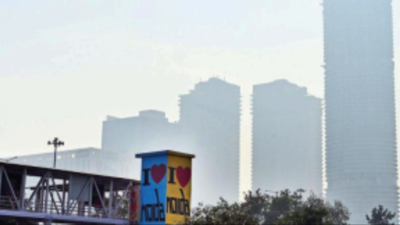 Air pollution: Noida schools told to hold online classes till November 8, says order