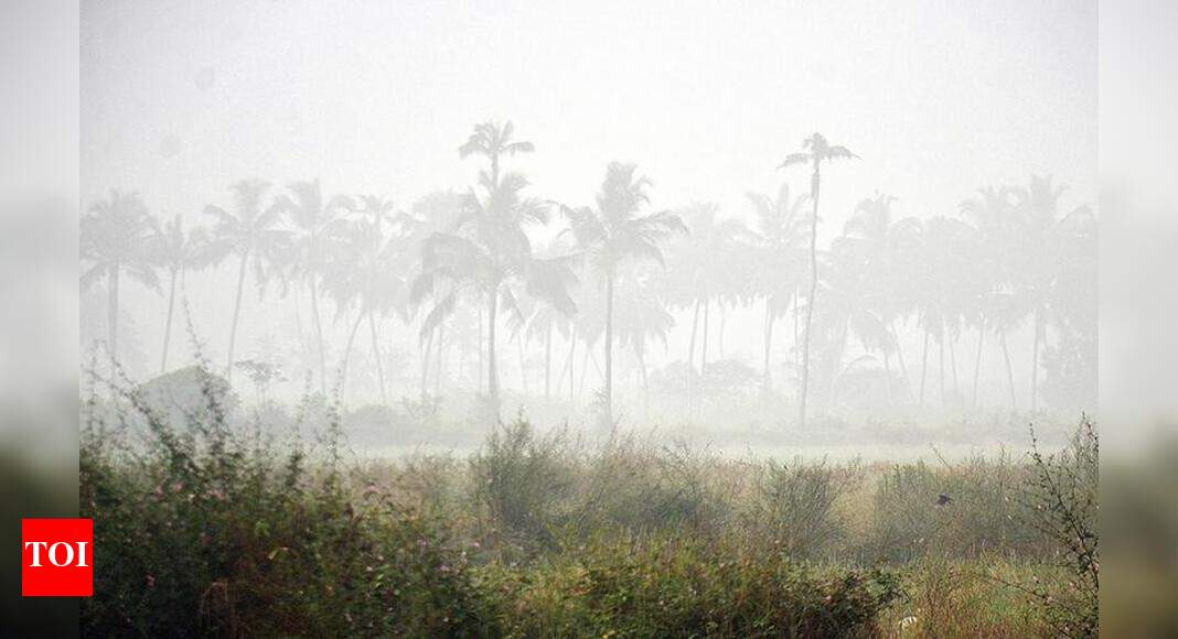 Dry weather likely till Mon, shallow fog at few places | Goa News ...
