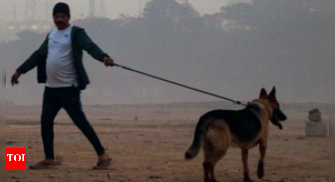 'Eyes burning' Pollution levels in Gurugram severe first time this