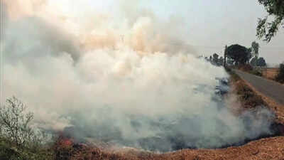 Rise in allergies, farmers’ families too bear the brunt